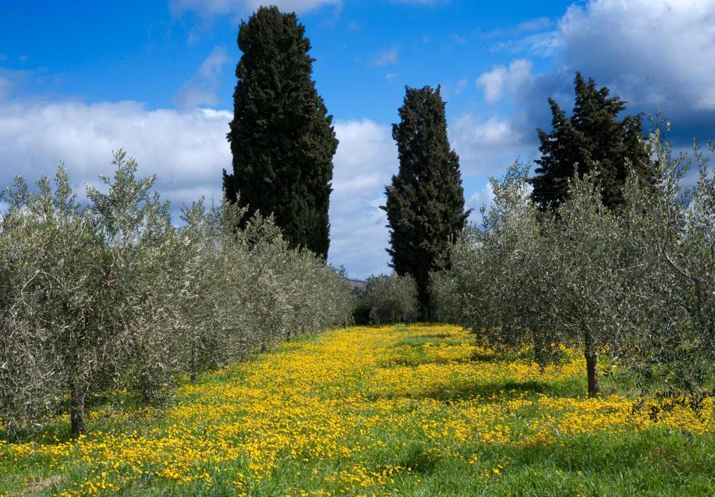 Locanda Ilune Pitigliano Exterior foto